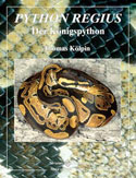 Python regius  Der Knigspython