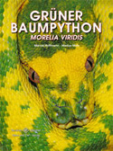 Grner Baumpython Morelia viridis
