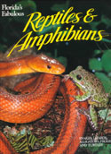 Floridas Fabulous Reptiles and Ampbibians