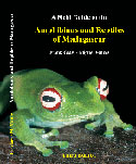 A Field Guide to the Amphibians and Reptiles of Madagascar 