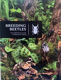 Breeding Beetles  The Substantial Guide