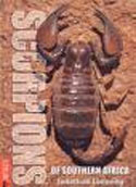 Scorpions of Southern Africa