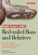 Red-tailed Boas and Relatives