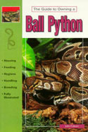 Ball Pythons