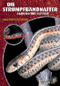 Die Strumpfbandnatter Thamnophis sirtalis