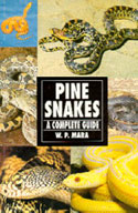 Pine Snakes. A Complete Guide