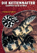 Die Kettennatter Lampropeltis getula