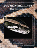 Python molurus. Der Tigerpython