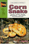Corn and Red Rat Snakes