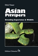 Asian Pitviper
