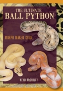 The Ultimate Ball Python – Morph Maker Guide 