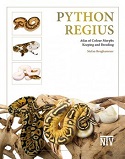 Python regius