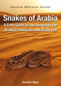 Snakes of Arabia. A Field Guide to the Snakes of the Arabian Peninsula and its Shores