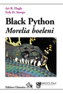 Black Python Morelia boeleni