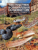 Bullennattern, Gophernattern, Kiefernnattern. Die Gattung Pituophis