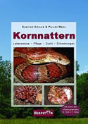 Kornnattern. Lebensweise, Plege, Zucht, Erkrankungen