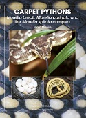 Carpet Pythons - Morelia bredli