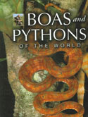 Boas and Pythons of the World