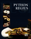 Python regius