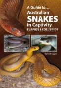 A Guide to Australian Snakes in Captivity