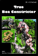 True Boa Constrictor