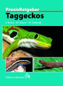 PraxisRatgeber. Taggeckos