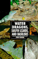 Water Dragons, Sailfin Lizards, and Basilisks