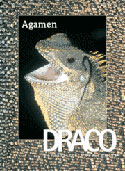 Draco 14 - Agamen