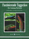 Faszinierende Taggeckos  Die Gattung Phelsuma