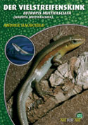 Der Vielstreifenskink Eutropis multifasciata (Mabuya multifasciata)