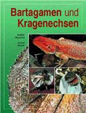 Bartagamen und Kragenechsen