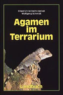 Agamen im Terrarium