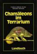 Chamleons im Terrarium