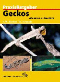 PraxisRatgeber Geckos