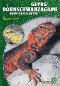 Geyrs Dornschwanzagame Uromastyx geyri