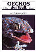 Geckos der Welt