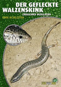 Der Gefleckte Walzenskink Chalcides ocellatus