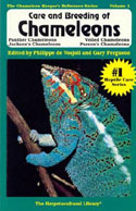 Care and Breeding of Chameleons