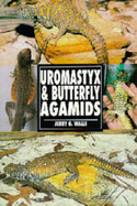 Uromastyx and Butterfly Agamids