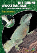 Die Grne Wasseragame Physignathus cocincinus