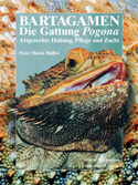 Bartagamen. Die Gattung Pogona. Artgerechte Haltung, Pflege und Zucht