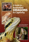 A Guide to Australian Dragons in Captivity