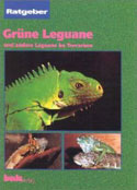 Grne Leguane und andere Leguane im Terrarium