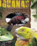 Iguanas