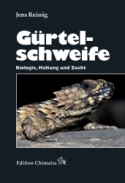 Grtelschweife