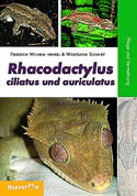 Rhacodactylus ciliatus und R. auriculatus