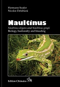 Naultinus. Naultinus elegans & Naultinus grayii. Biology, husbandry and breeding