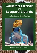 Collared Lizards and Leopard Lizards