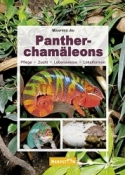 Pantherchamleons