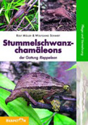 Stummelschwanzchamleons der Gattung Rieppeleon